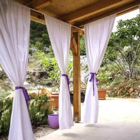 House Marie's Lavander Dream Holiday home